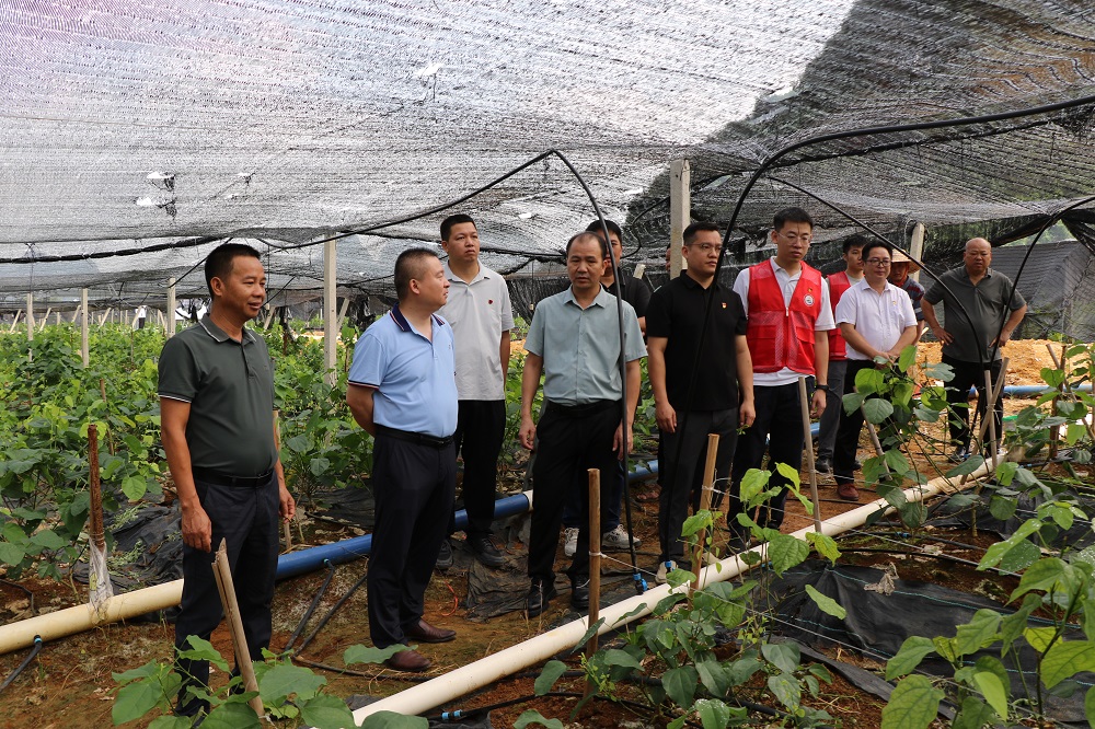 1752114786195113.jpg 2.jpg